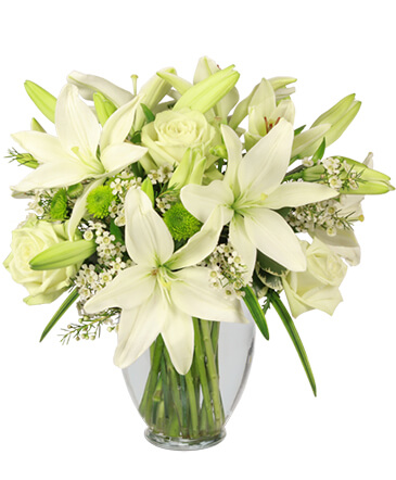 Simplicity Arrangement in Edgerton, WI | Primrose & Co Floral LLC