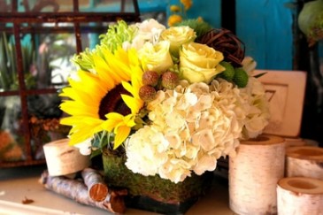 Simplicity Low Arrangement
