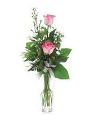Simply Because Double Rose