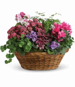 Simply Chic Plant Basket H971A