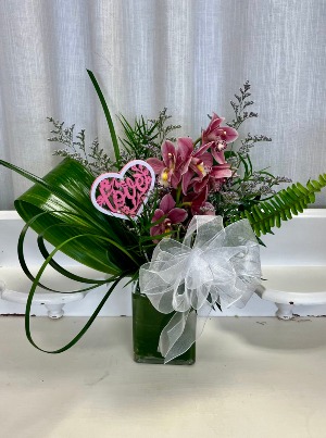 Simply Cymbidium 