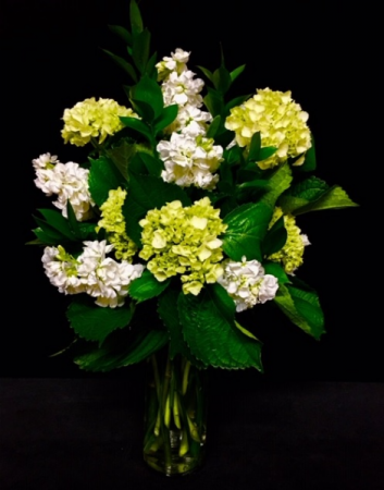 Simply Elegant Hydrangea & White Filler