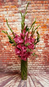 SIMPLY GLADS
