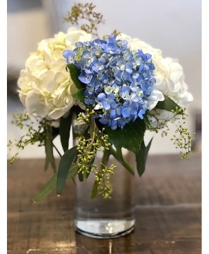 Simply Hydrangeas  fresh arrangnment