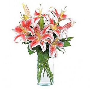 Simply Lilies Vased Arrangement