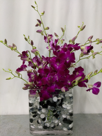 Simply Orchids