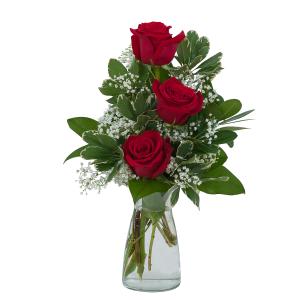 Simply Roses Arrangement