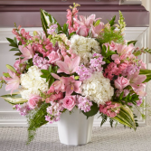 Simply Serene Sympathy