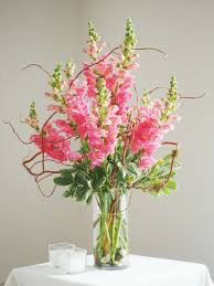 Simply Snaps Pink Snapdragons