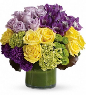 Simply Splendid in Chesapeake, VA | Floral Creations Simply Splendid in Chesapeake, VA | Floral Creations