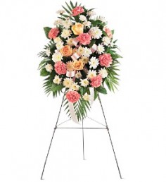 Category Image