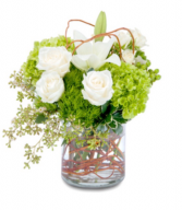 Simple Elegance Vase