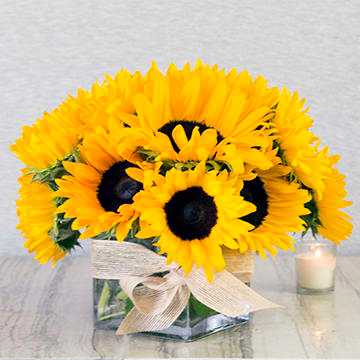 Simply Sunflowers  in Arlington, TX | Erinn's Creations Florist