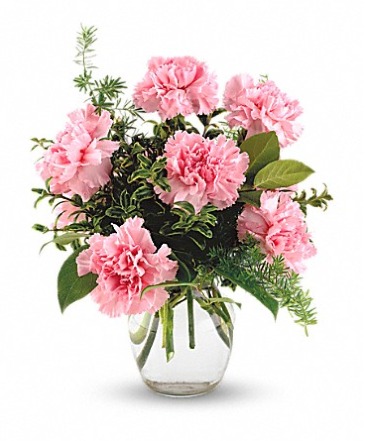 Simply Sweet Carnations Carnation Vase Arrangement in Edmonton, AB | PETALS ON THE TRAIL
