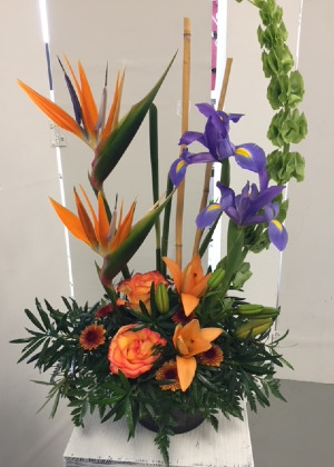 Simply Tropical  mixed arrangement with tropical flowers