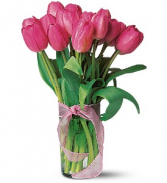 Simply Tulips 