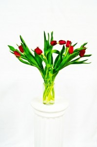 Simply Tulips Arrangement