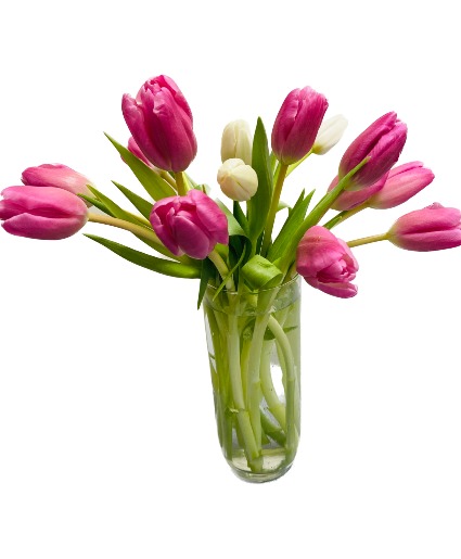 Simply Tulips Arrangements