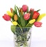 Simply Tulips multi coloured  Vase Standard is a dozen stems mixed 