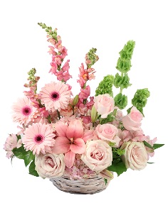 Category Image