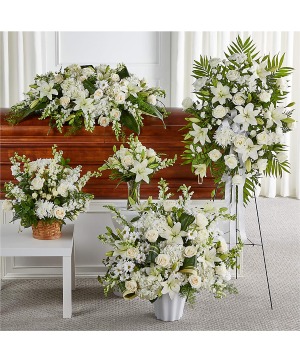 Sincerest Condolences Sympathy Collection