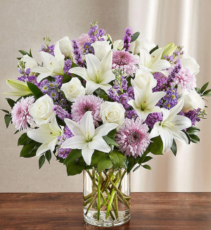 Sincerest Sorrow Lavender & White 