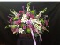 Purchase this funeral home arrangement