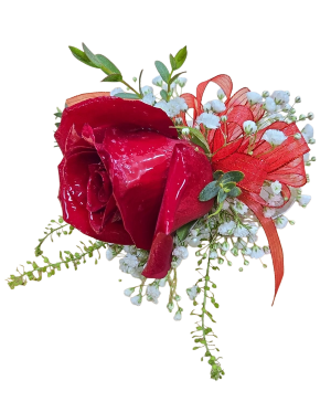 Single Reg. Rose With Extra Baby's Breath Choice of Ribbon Color