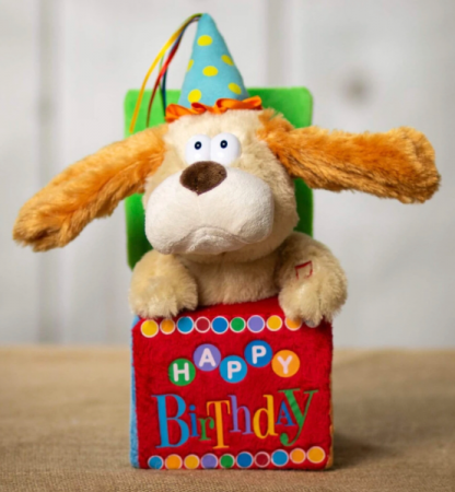 Singing Birthday Dog  Gift 