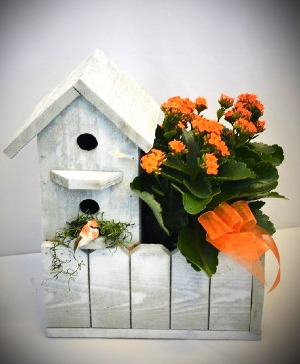 SINGLE BIRD HOUSE PLANTER -LIMITED QTY BLOOMING PLANT