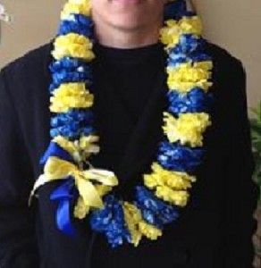 Single Blue & Yellow Carnation Lei 