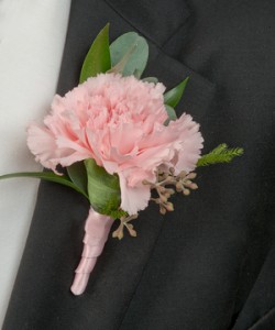 Single Carnation  We can use different color flower, ribbon , etc. in Lebanon, NH | LEBANON GARDEN OF EDEN FLORAL SHOP