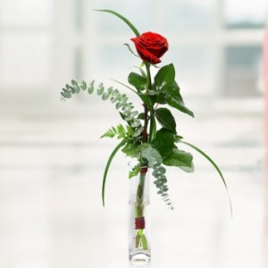 Single Equisite Rose Vase J2