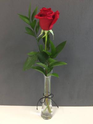 Single Flower in Vase Single flower with greens  PICK UP ONLY