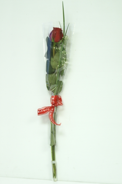 Single Gift Wrapped Rose ROSE7C