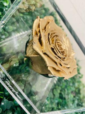 Single Gold Preserved Rose Box 
