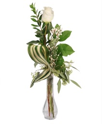 Single Ivory Bud Vase Rose Arrangement