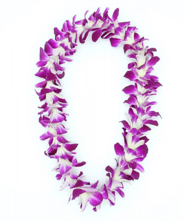 SINGLE LEI - PURPLE Fresh Orchids