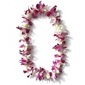 single lei purple lei