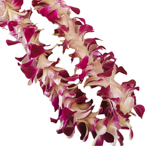 Single Orchid Lei Lei