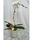 Purchase this funeral home arrangement