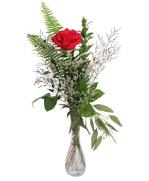 Single Red Bud Vase Rose Arrangement