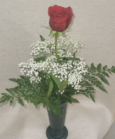 Single Red Rose Valentine's Day