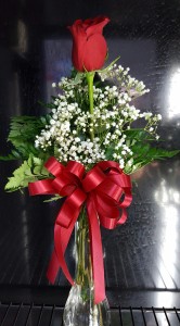 SINGLE RED ROSE