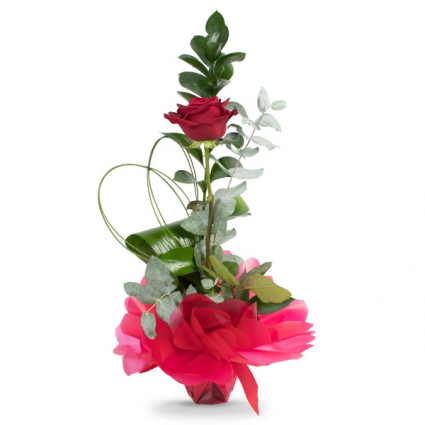 SINGLE RED ROSE with ribbons and bows