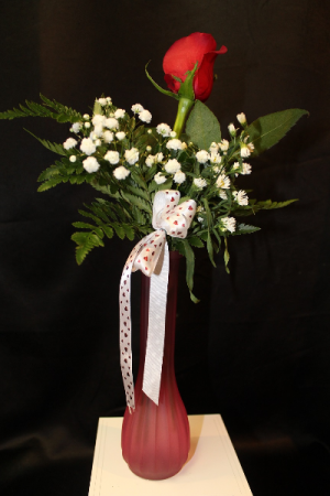 SINGLE RED ROSE Valentine's Day
