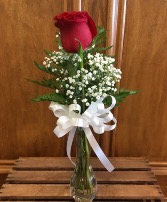 Single Rose  Any Color  in vase