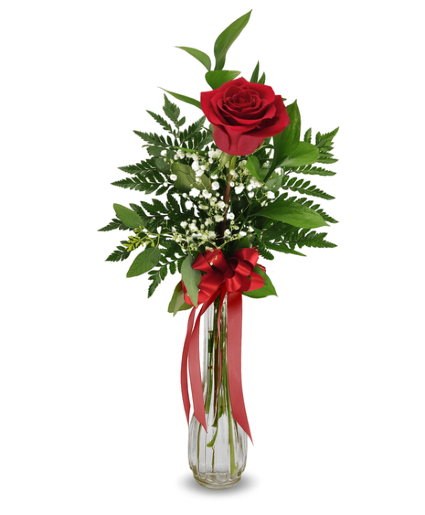 Single Rose Arrangement