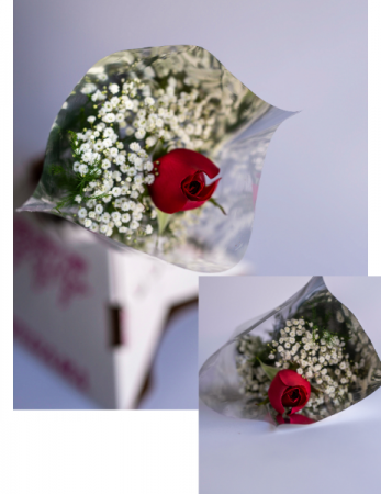 Single Rose Bouquet Bouquet