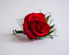 Category Image